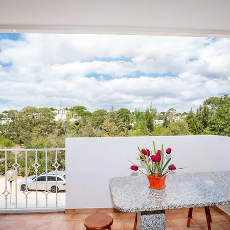 Hugo - Complex Perfect For Families * 阿尔布费拉